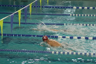 米兰体育官网入口-世界青少年游泳接力锦标赛中国队强势出击，世界游泳锦标赛接力决赛